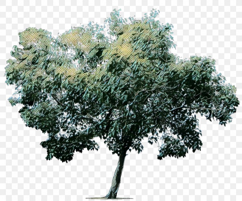 Oak Tree Leaf, PNG, 848x704px, Pop Art, Arbor Day, Branch, California Live Oak, Flower Download Free