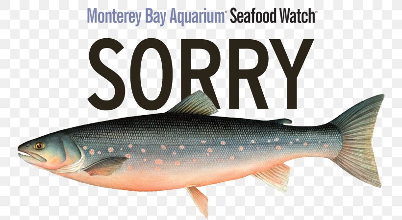 Sardine Salmon Fish Products Oily Fish Trout, PNG, 750x449px, Sardine, Biology, Bony Fish, Carp, Fauna Download Free