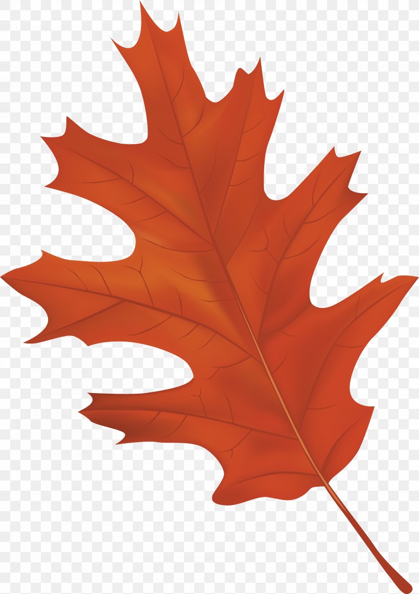 Autumn Leaf Color Clip Art, PNG, 3735x5295px, Autumn Leaf Color, Autumn, Brown, Color, Leaf Download Free