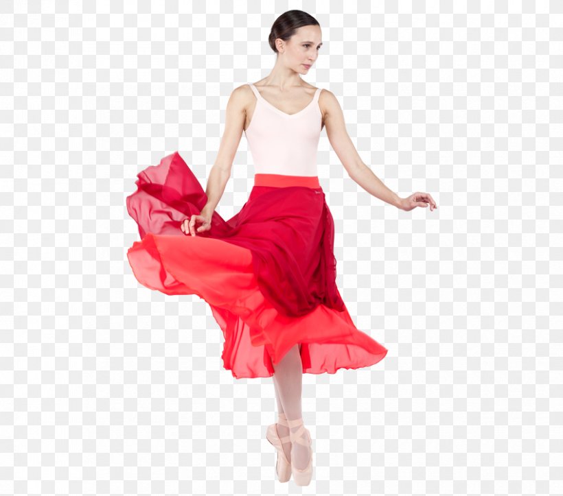 Ballet Performing Arts Naver Blog Costume Cocktail Dress, PNG, 850x750px, Ballet, Abdomen, Actor, Blog, Cocktail Download Free