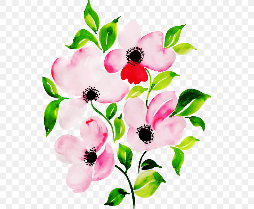 Flower Petal Pink Plant Branch, PNG, 545x677px, Flower, Anemone, Blossom, Branch, Cut Flowers Download Free