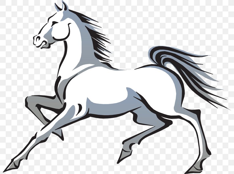 Mustang Rearing Drawing Clip Art, PNG, 800x610px, Mustang, Artwork, Black And White, Bridle, Collection Download Free