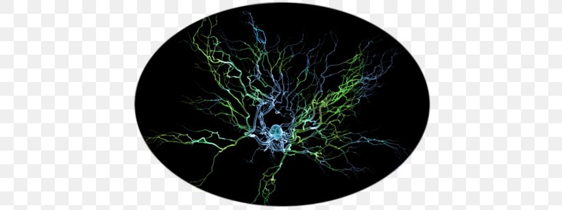 Neuron Scanning Electron Microscope Brain Nervous System Dendrite, PNG, 440x307px, Neuron, Artificial Neural Network, Axon, Biological Neural Network, Brain Download Free