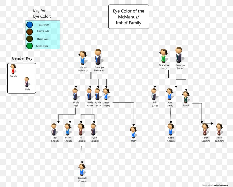Pedigree Chart Eye Color Genetics Family Tree Dominance, PNG, 800x659px, Pedigree Chart, Brand, Chart, Diagram, Dominance Download Free