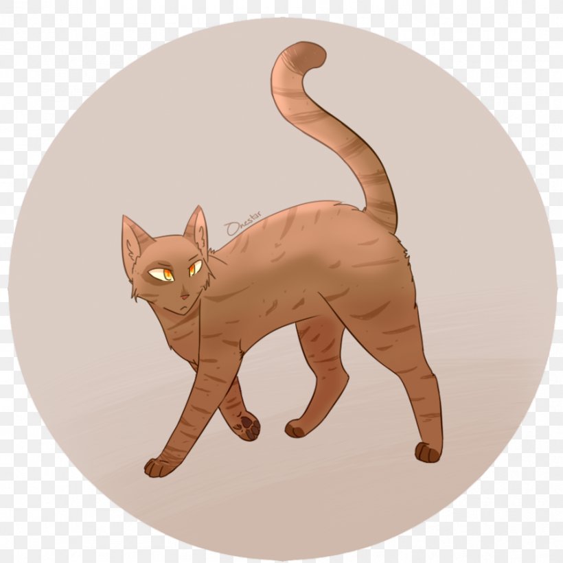 Whiskers Kitten Domestic Short-haired Cat Tabby Cat, PNG, 894x894px, Whiskers, Animated Cartoon, Carnivoran, Cat, Cat Like Mammal Download Free