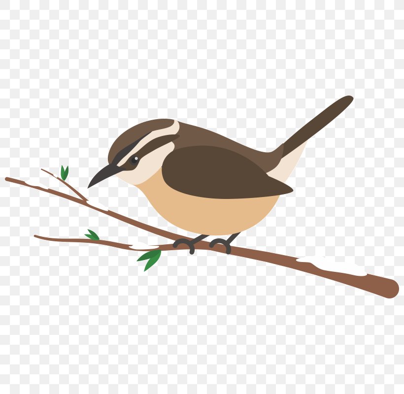 Wren American Sparrows Beak Chickadee, PNG, 800x800px, Wren, American Sparrows, Beak, Bird, Branch Download Free