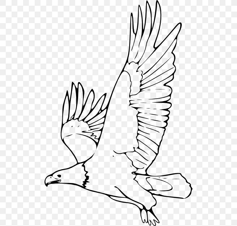 Bald Eagle Black-and-white Hawk-eagle Drawing Clip Art, PNG, 512x782px, Bald Eagle, Animal, Arm, Art, Artwork Download Free