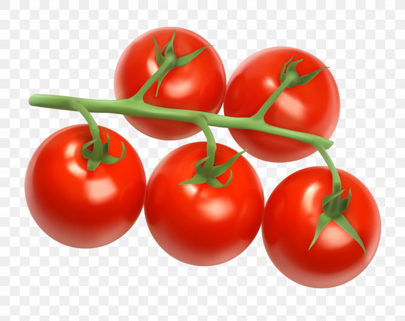 Cherry Tomato Clip Art Grape Tomato Cherries Vector Graphics, PNG, 1600x1271px, Cherry Tomato, Acerola, Acerola Family, Bush Tomato, Cherries Download Free