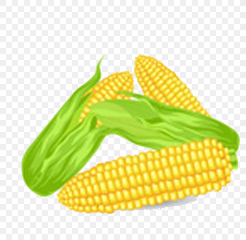 Corn On The Cob Kettle Corn Maize Drawing, PNG, 800x800px, Corn On The Cob, Commodity, Corn Kernels, Drawing, Ear Download Free