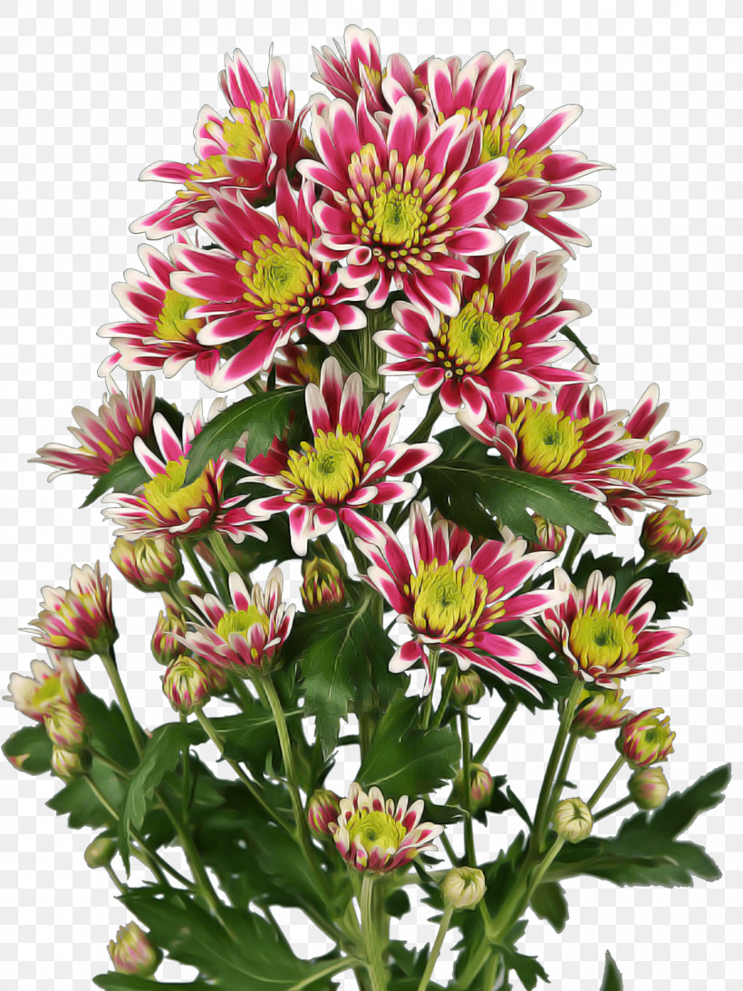 Floral Design, PNG, 1200x1600px, Flower, Artificial Flower, Aster, Bouquet, Cut Flowers Download Free