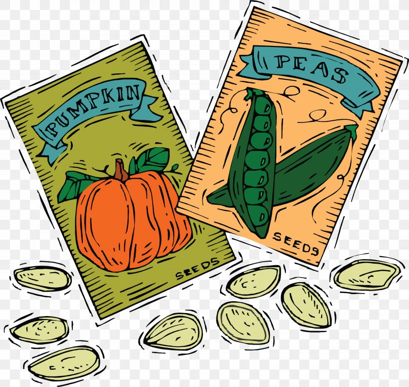 Seed Packet Clip Art PNG 3200x3026px Seed Drawing Flower Food 