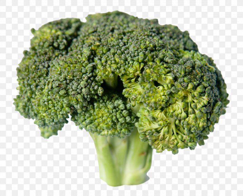 Broccoli Vegetable Food, PNG, 2340x1884px, Broccoli, Broccoflower, Cauliflower, Food, Herb Download Free