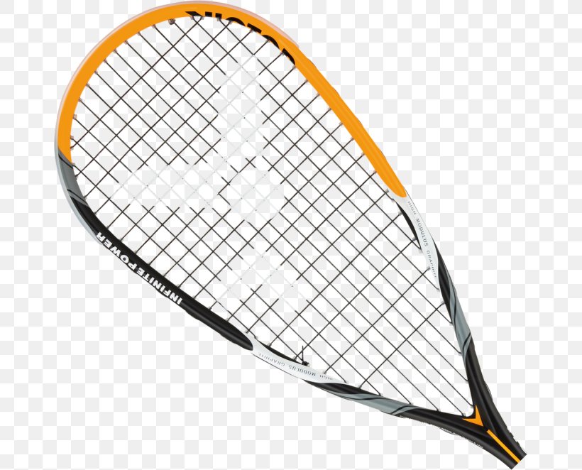Dunlop Srixon Revo CV Tennis Racquet Dunlop Biomimetic Elite GTS Squash Racket By Dunlop Dunlop CV 3.0 F Tour, PNG, 668x662px, Dunlop, Grip, Net, Racket, Rackets Download Free