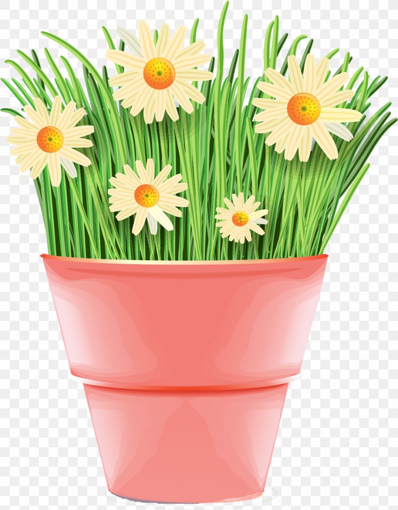 German Chamomile Plant Tripleurospermum, PNG, 938x1200px, German Chamomile, Common Daisy, Cut Flowers, Daisy, Daisy Family Download Free