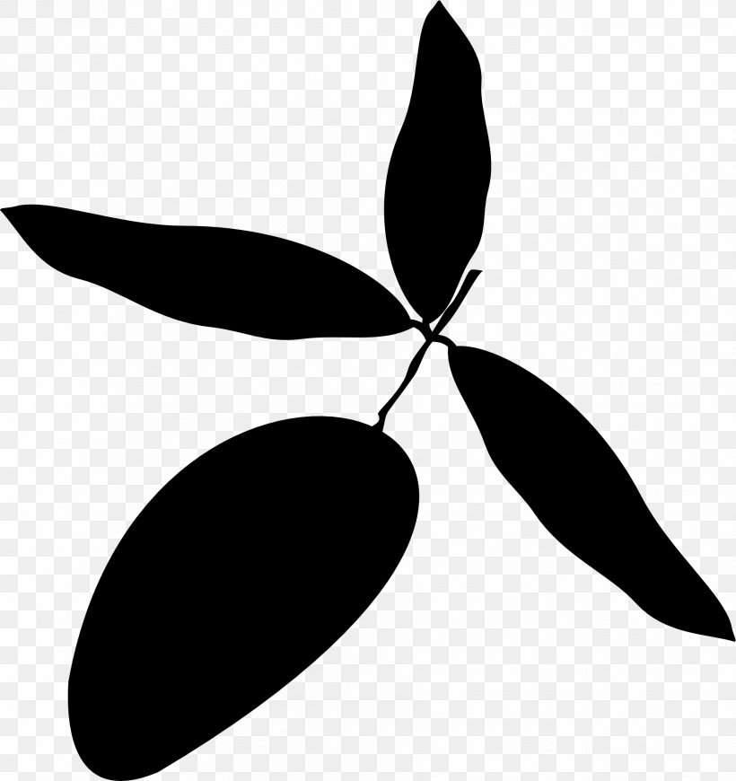 Leaf Clip Art Black & White, PNG, 1808x1920px, Leaf, Black, Black White M, Blackandwhite, Botany Download Free