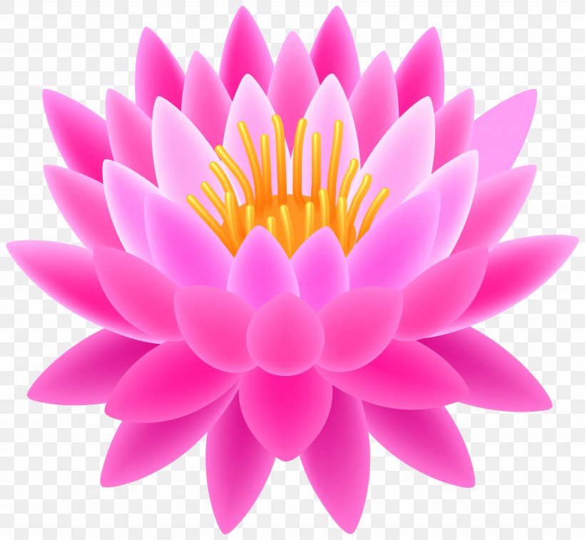 Sacred Lotus Clip Art, PNG, 7000x6468px, Nelumbo Nucifera, Art, Chrysanths, Dahlia, Daisy Family Download Free