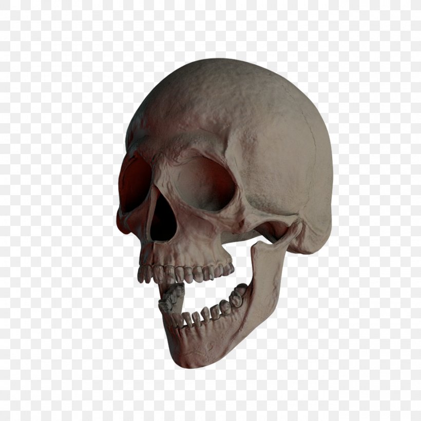 Skull And Crossbones Skull And Crossbones Skeleton, PNG, 1280x1280px, Skull, Bone, Death, Head, Human Head Download Free