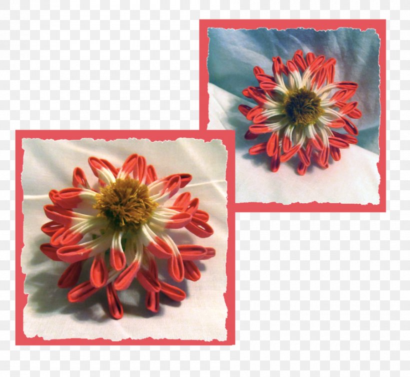 Transvaal Daisy Chrysanthemum Cut Flowers Petal, PNG, 900x827px, Transvaal Daisy, Chrysanthemum, Chrysanths, Cut Flowers, Daisy Family Download Free