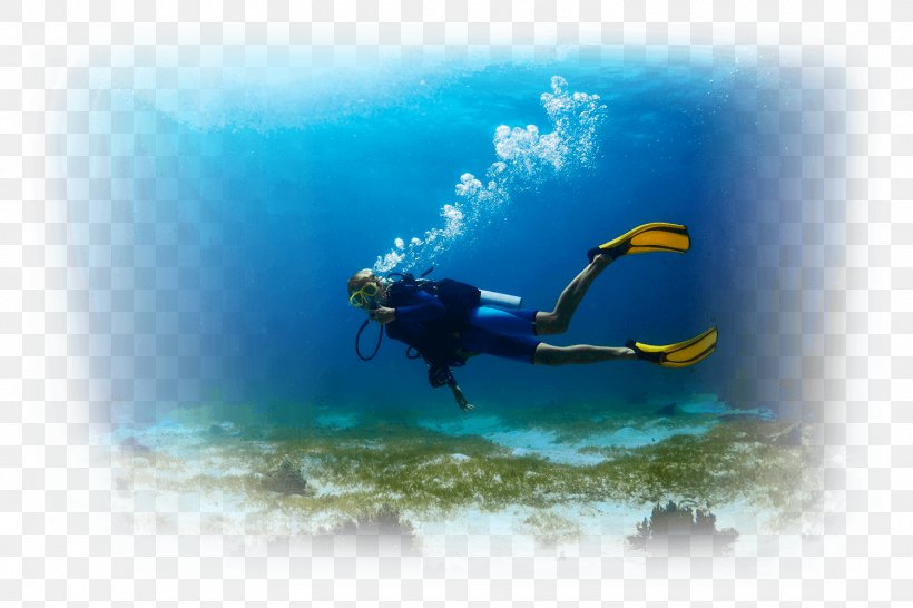 Underwater Diving Scuba Diving Open Water Diver Diver Certification Snorkeling, PNG, 1500x1000px, Underwater Diving, Advanced Open Water Diver, Adventure, Aquanaut, Dive Center Download Free