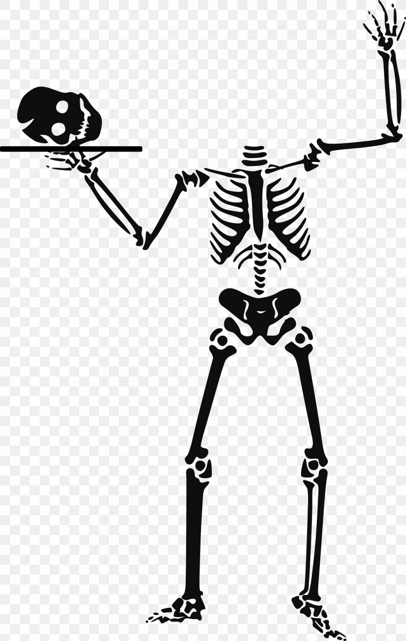 Vector Graphics Skeleton Clip Art Openclipart Image, PNG, 2027x3200px, Skeleton, Black And White, Bone, Hand, Human Download Free