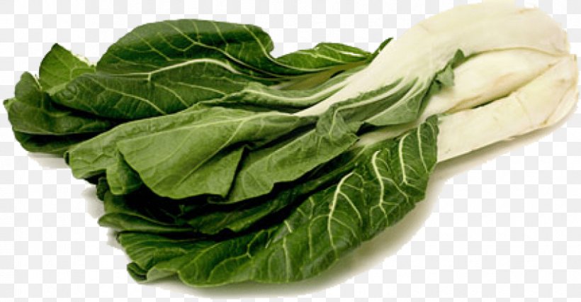 Clip Art Transparency Chard Image, PNG, 850x442px, Chard, Bok Choy, Cabbage, Choy Sum, Collard Greens Download Free