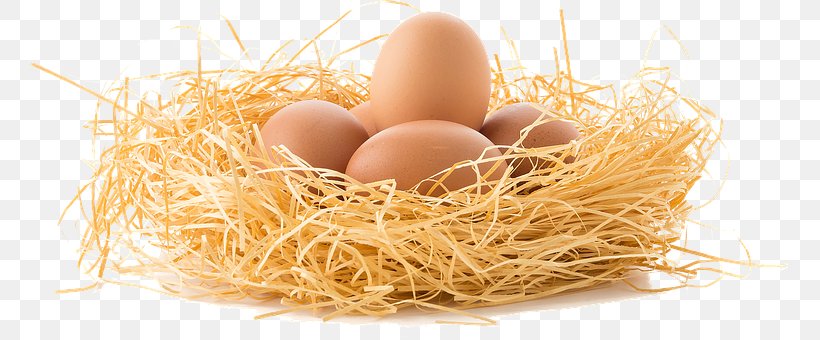 Chicken Bacon, Egg And Cheese Sandwich Edible Bird's Nest, PNG, 759x340px, Chicken, Bacon Egg And Cheese Sandwich, Bird, Bird Nest, Commodity Download Free