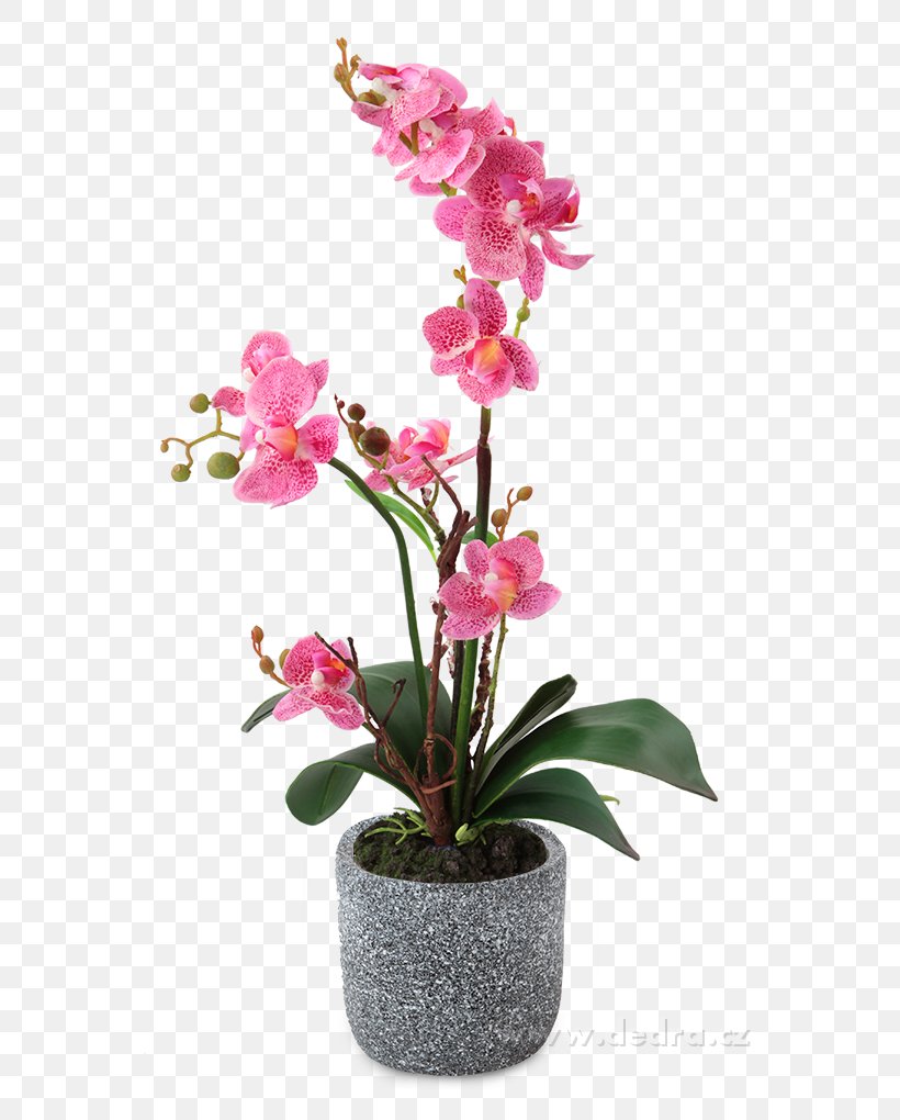Moth Orchids Flowerpot Cut Flowers, PNG, 680x1020px, Moth Orchids, Artificial Flower, Cattleya, Cattleya Orchids, Cut Flowers Download Free