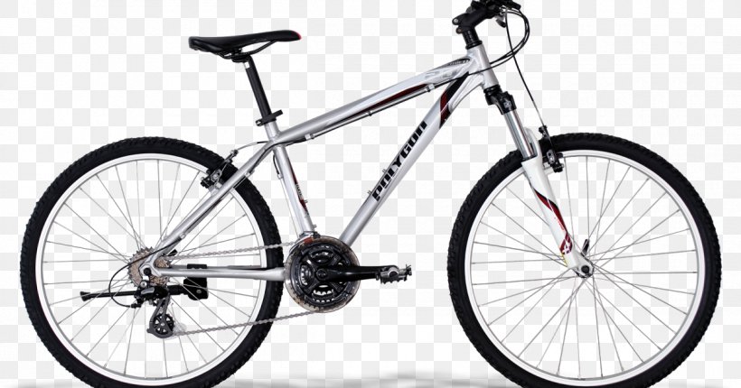 Mountain Bike Fixed-gear Bicycle B'Twin Track Bicycle, PNG, 1200x630px, Mountain Bike, Bicycle, Bicycle Accessory, Bicycle Drivetrain Part, Bicycle Fork Download Free