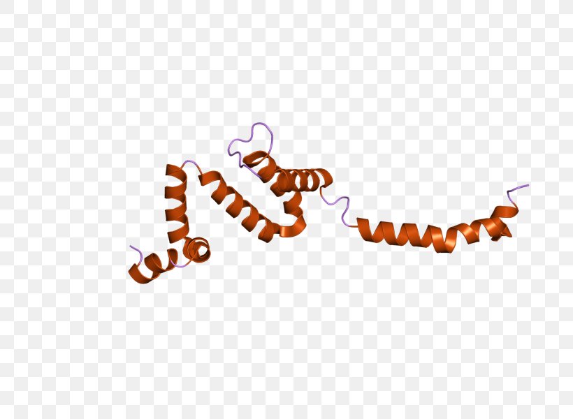 Rgs6 Regulator Of G Protein Signaling Logo, PNG, 800x600px, Regulator Of G Protein Signaling, Brand, Computer, Family, Gene Download Free