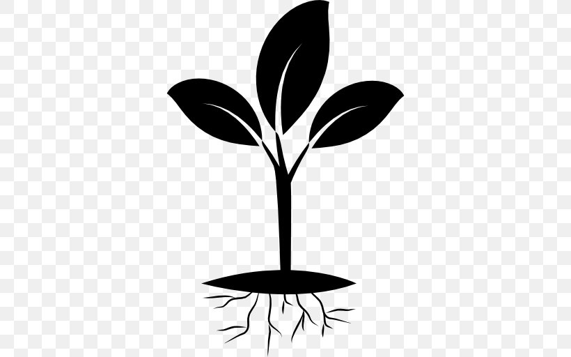 Clip Art Seedling Plants, PNG, 512x512px, Seedling, Blackandwhite, Botany, Flower, Leaf Download Free