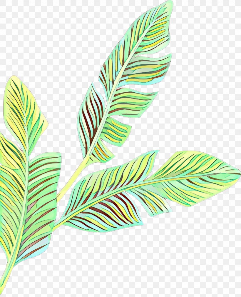 Coconut Tree Cartoon, PNG, 1024x1262px, Cartoon, Arrowroot Family, Banana, Banana Leaf, Botany Download Free