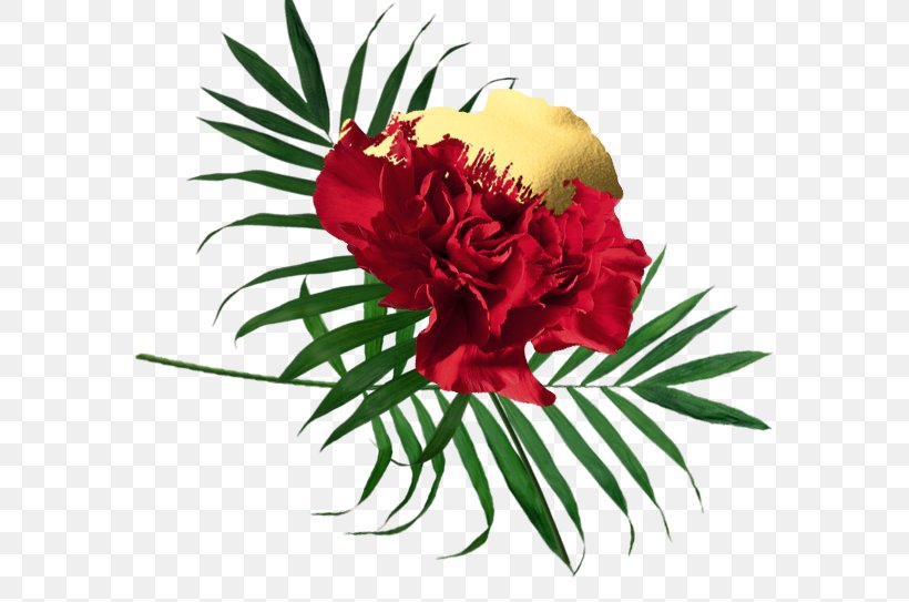 Garden Roses Floral Design Cut Flowers Carnation, PNG, 615x543px, Garden Roses, Carnation, Cut Flowers, Floral Design, Floristry Download Free