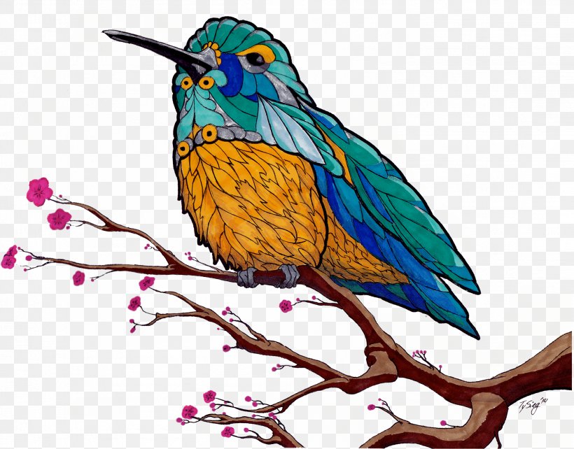 Macaw Beak Feather Clip Art, PNG, 2211x1733px, Macaw, Art, Beak, Bird, Branch Download Free