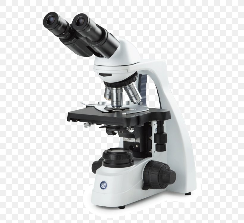 Optical Microscope Binoculars Light-emitting Diode, PNG, 590x750px, Microscope, Binoculars, Condenser, Eyepiece, Light Download Free