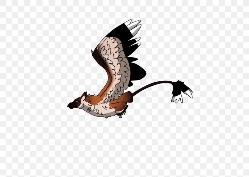 Shoe, PNG, 1057x755px, Shoe, Beak, Claw, Wing Download Free