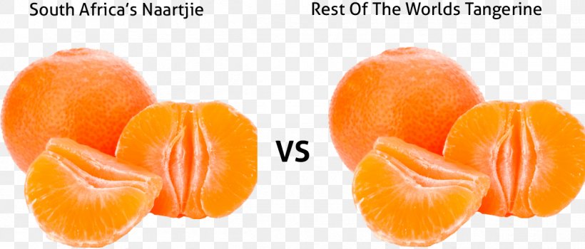 Clementine Tangerine South Africa Satsuma Mandarin Fruit, PNG, 1207x516px, Clementine, Africa, Diet Food, Food, Fruit Download Free