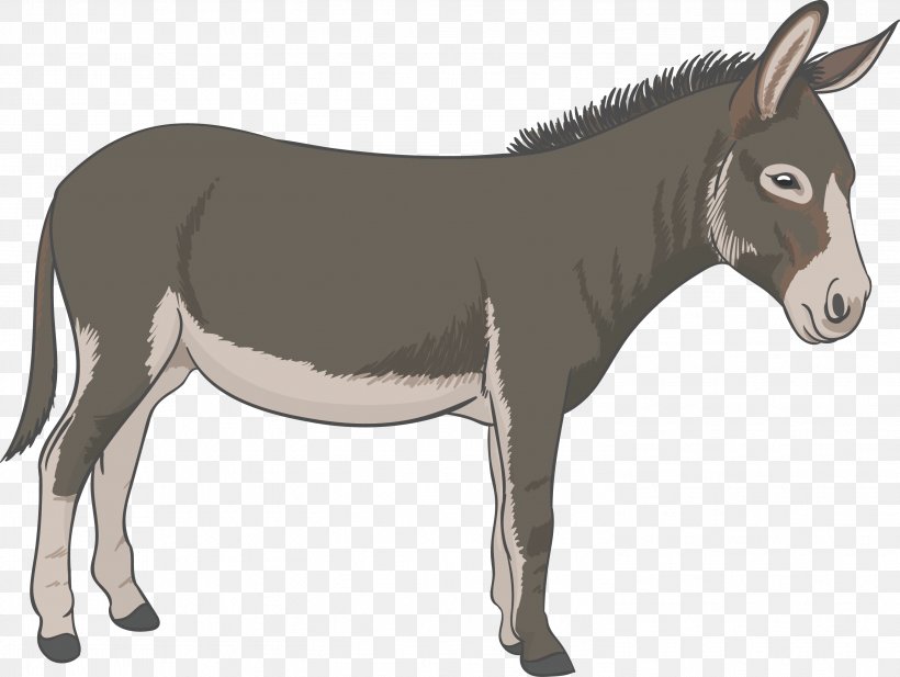 Donkey, PNG, 2997x2257px, Donkey, Animation, Colt, Horse, Horse Like Mammal  Download Free