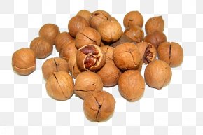 Walnut Cream - Juglans Pecan Walnut Nutrition PNG