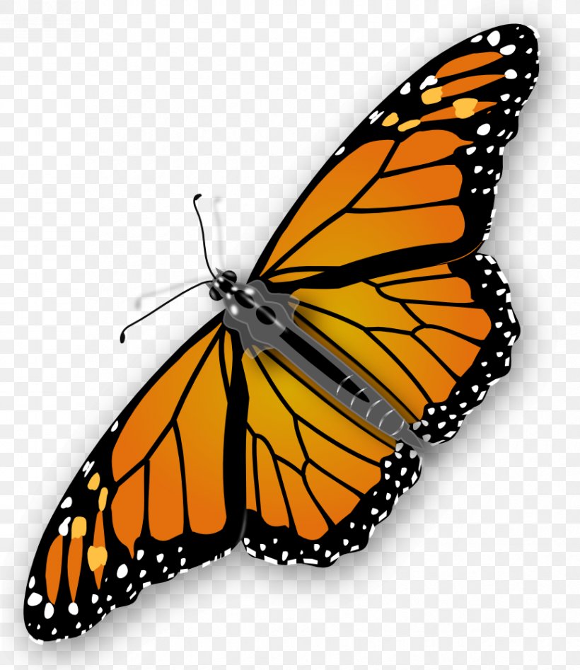 Monarch Butterfly Clip Art, PNG, 865x1000px, Butterfly, Arthropod, Brush Footed Butterfly, Color, Drawing Download Free