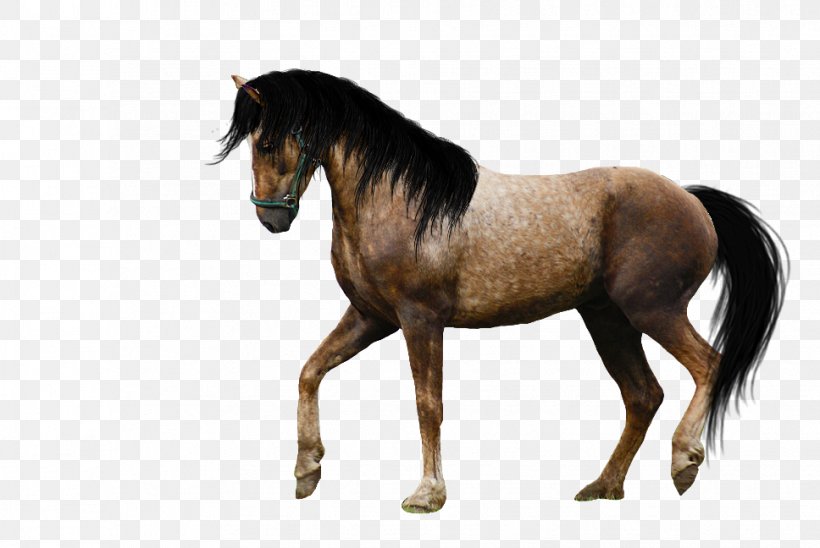 Mustang Stallion Tennessee Walking Horse Pony Clip Art, PNG, 968x648px, Mustang, Bridle, Colt, Foal, Horse Download Free