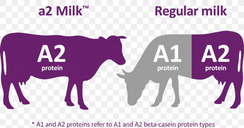 The A2 Milk Company Sahiwal Cattle, PNG, 846x443px, Milk, A2 Milk, A2 Milk Company, Australian Securities Exchange, Brand Download Free