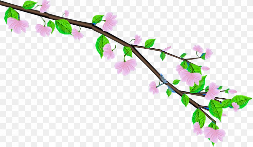 Animation Download, PNG, 829x483px, Animation, Blossom, Branch, Button, Cherry Blossom Download Free