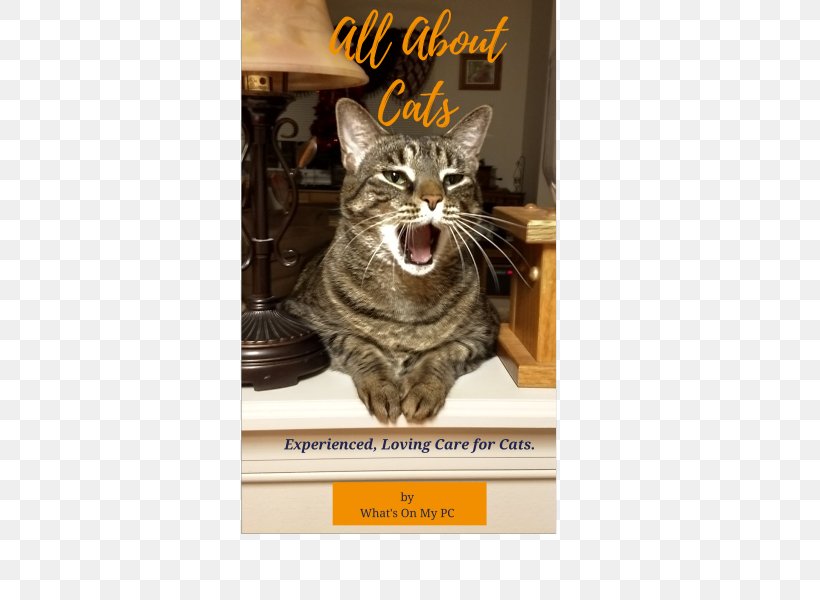 Dragon Li American Shorthair European Shorthair California Spangled Whiskers, PNG, 424x600px, Dragon Li, American Shorthair, Asia, Asian, Asian People Download Free