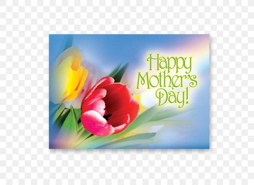 Greeting & Note Cards Mother's Day Tulip Gift, PNG, 600x600px, Greeting Note Cards, Computer, Envelope, Flower, Flowering Plant Download Free