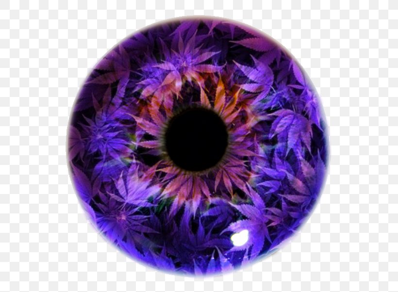 Iris Eye Pupil Violet Lens, PNG, 600x602px, 2016, 2017, 2018, Iris, Dislike Download Free