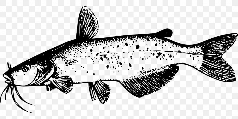 Line Art Drawing Catfish Clip Art, PNG, 1280x640px, Line Art, Artwork, Black And White, Catfish, Catfishing Download Free