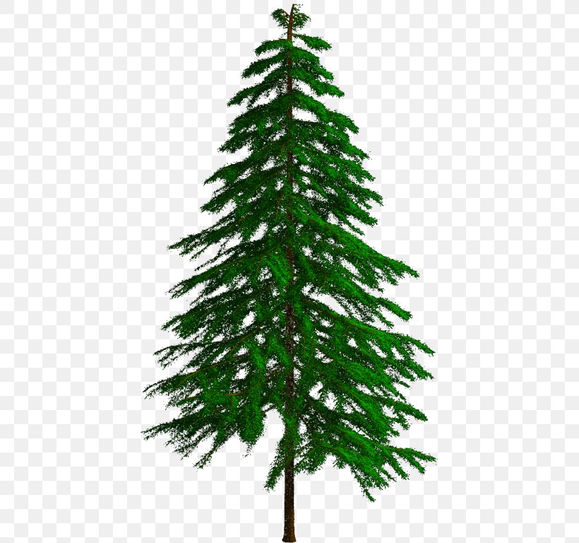 Spruce Fir Pine Larch Christmas Tree, PNG, 421x768px, Spruce, Biome, Branch, Christmas, Christmas Decoration Download Free