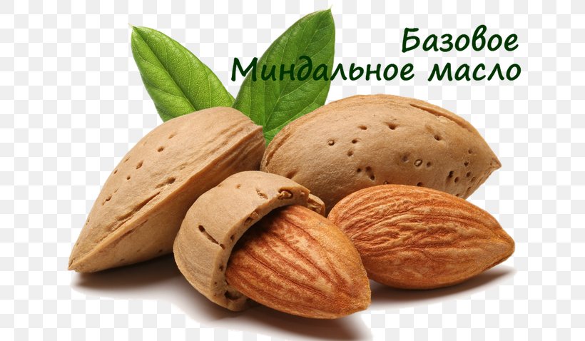 Almond Oil Food Dried Fruit, PNG, 665x478px, Almond, Aftertaste, Almond Oil, Carrier Oil, Dried Fruit Download Free