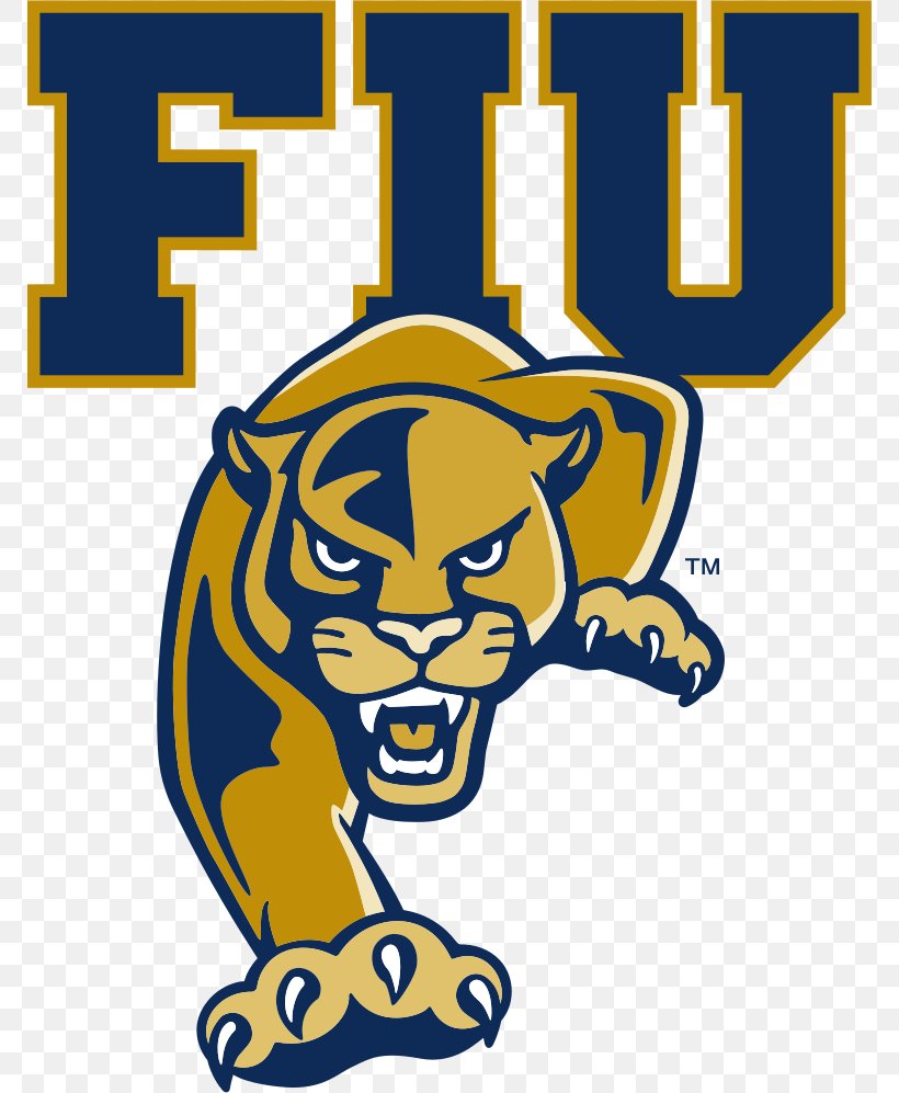 American Football Background, PNG, 770x997px, Fiu Panthers Football, American Football, Basketball, Fiu Panthers, Florida Download Free