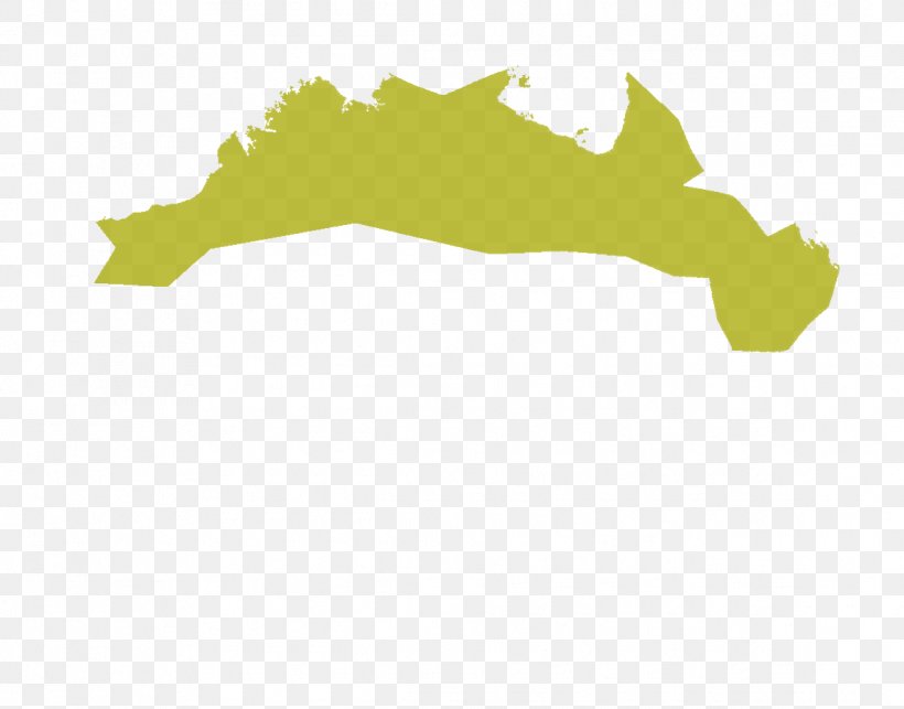 Flora Vegetation Australia Fauna Logo, PNG, 1144x898px, Flora, Angloamerica, Area, Australia, Continent Download Free
